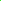 10g TOHO 6/0 Round Japanese Seed Beads 4mm 805 Luminous Neon Green Beadacious