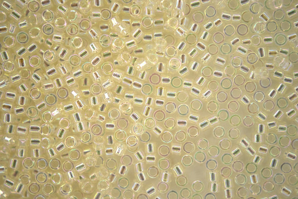 7.2g MIYUKI 11/0 Delica Japanese Seed Beads 1.6mm DB109 Cream Crystal AB