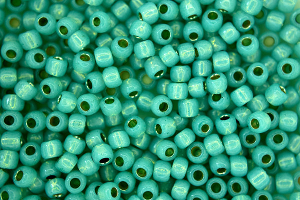 10g TOHO 6/0 Round Japanese Seed Beads 4mm PF2119 PermaFinish Translucent Silver Lined Dark Peridot Beadacious
