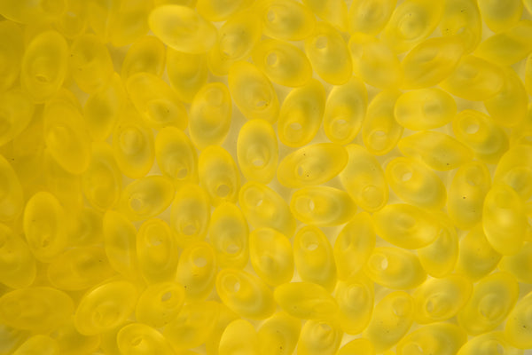 10g MIYUKI Long Magatama Japanese Beads 4x7mm 2101F Matte Transparent Pale Yellow