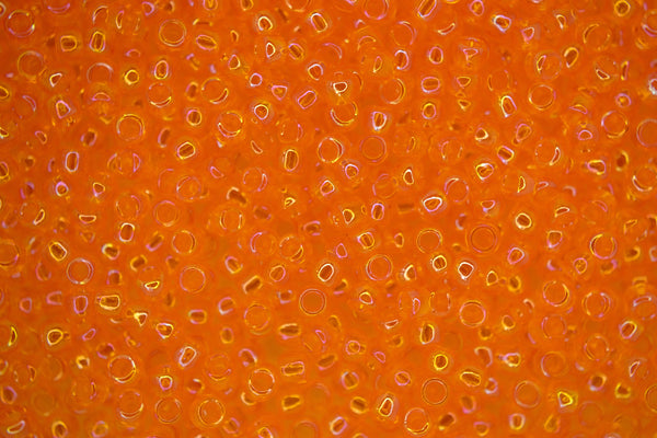 10g TOHO 8/0 Round Japanese Beads 3mm 174 Transparent Rainbow Light Hyacinth