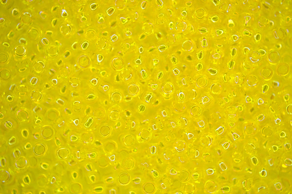 10g TOHO 8/0 Round Japanese Beads 3mm 175 Transparent Lemon Rainbow